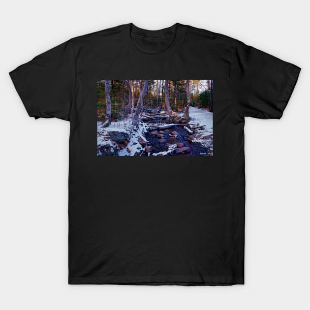 Hemlock Ravine Park 02 T-Shirt by kenmo